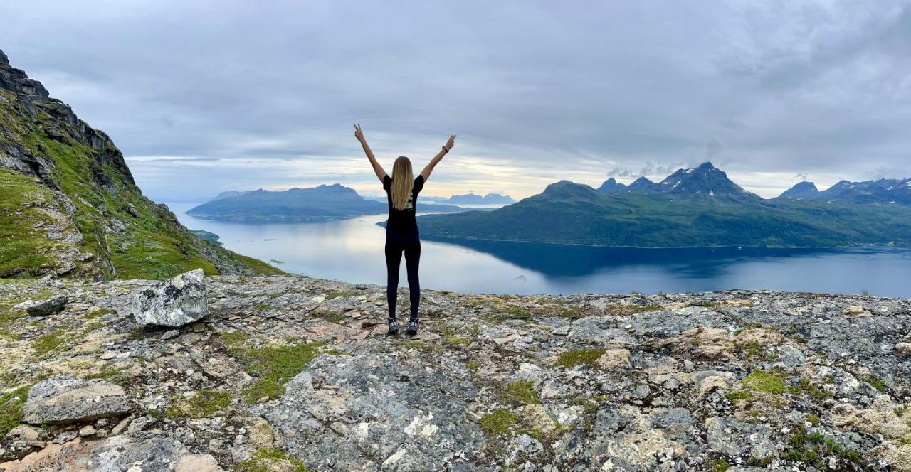 Arctic Dream — 4-Star Luxury Hotel in Gratangen, Norway