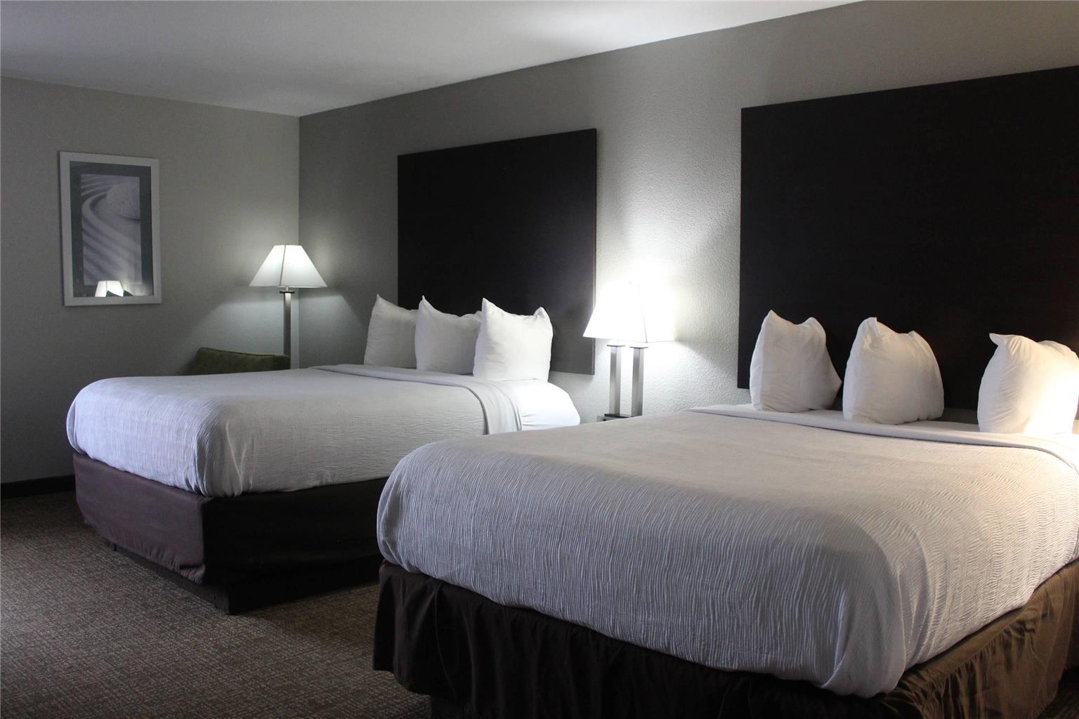 Quality Inn and Suites University Area - photo 30