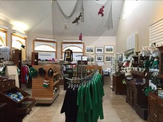 Cape Cod Irish Village - photo 14