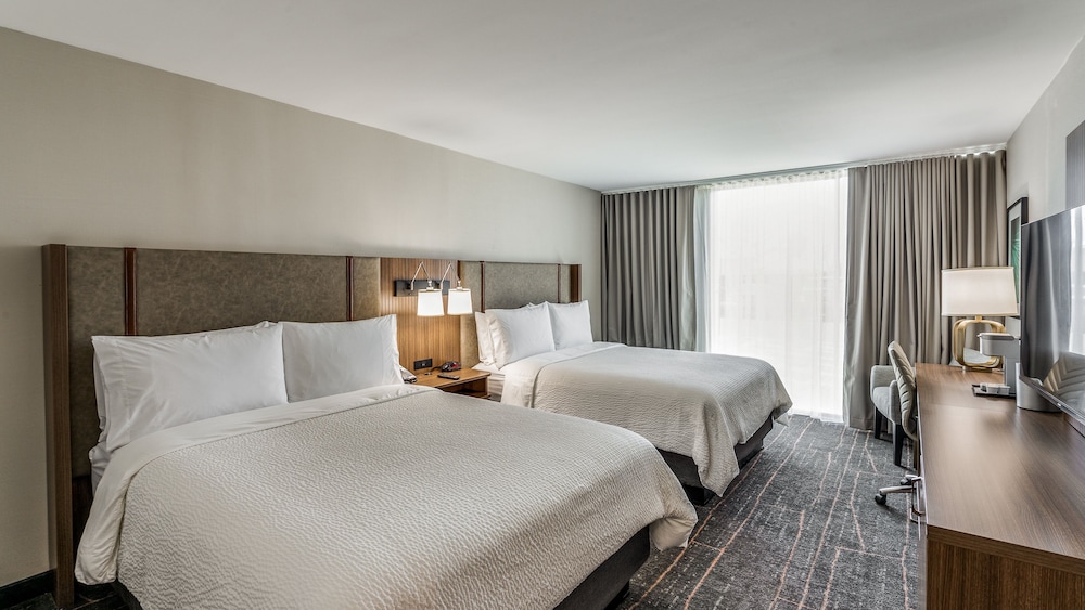 Holiday Inn Dallas Market Ctr Love Field by IHG - photo 3