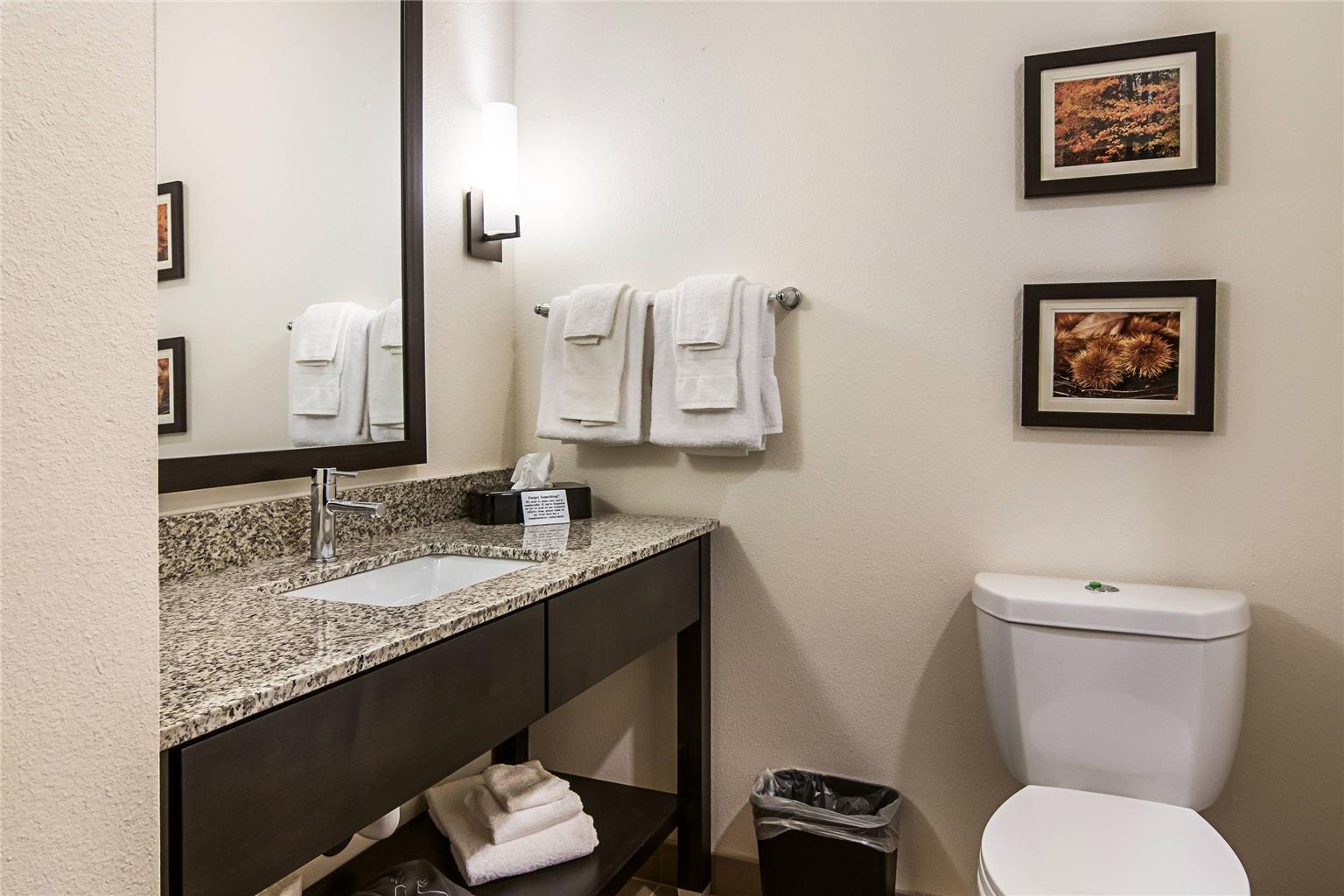 Comfort Suites Wooster near University Campus - photo 30