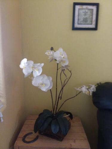 My Place Suites - photo 86