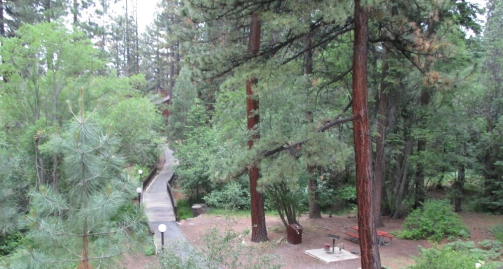 Club Tahoe - photo 22