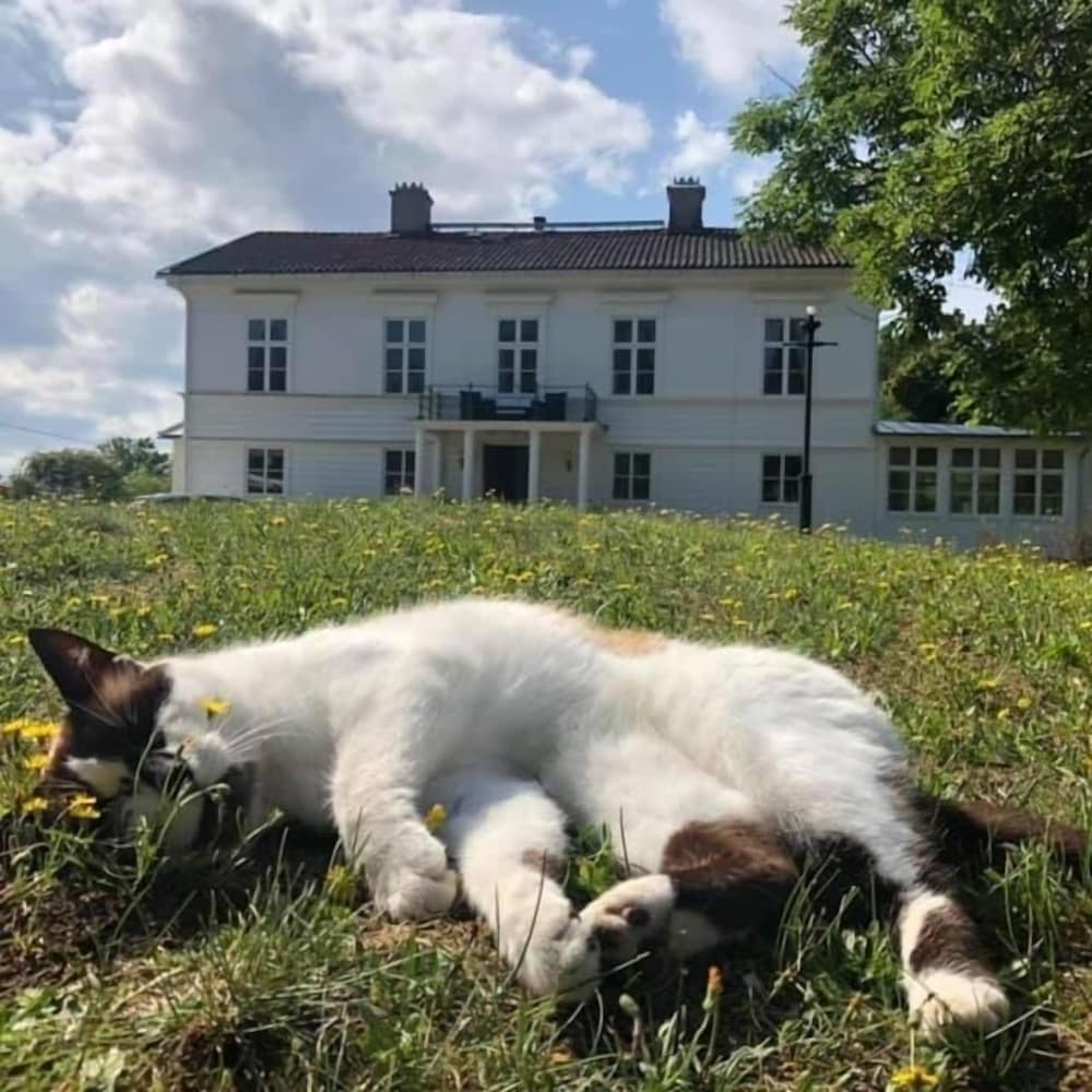 Amiralsgården Werstorp — hotel near Ronneby Airport