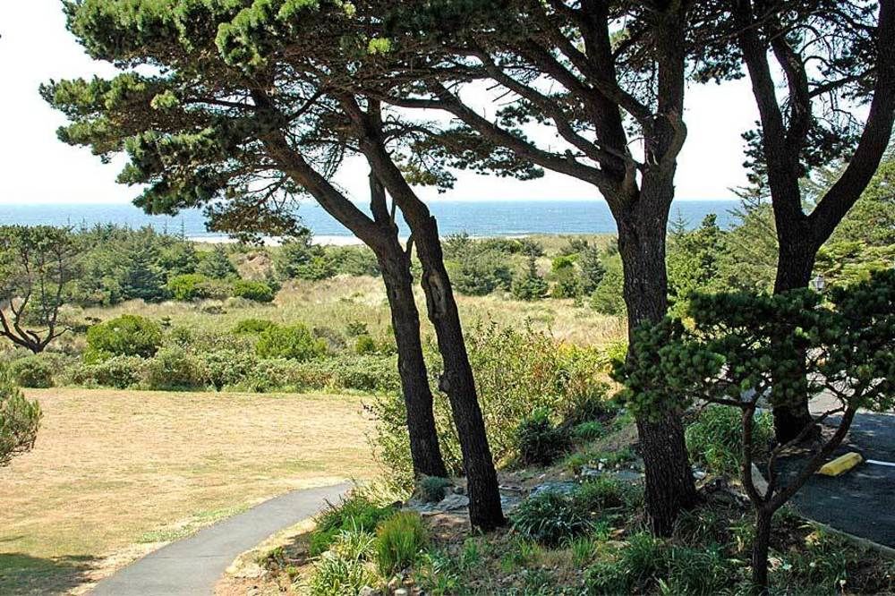 Ireland's Rustic Lodges - photo 12