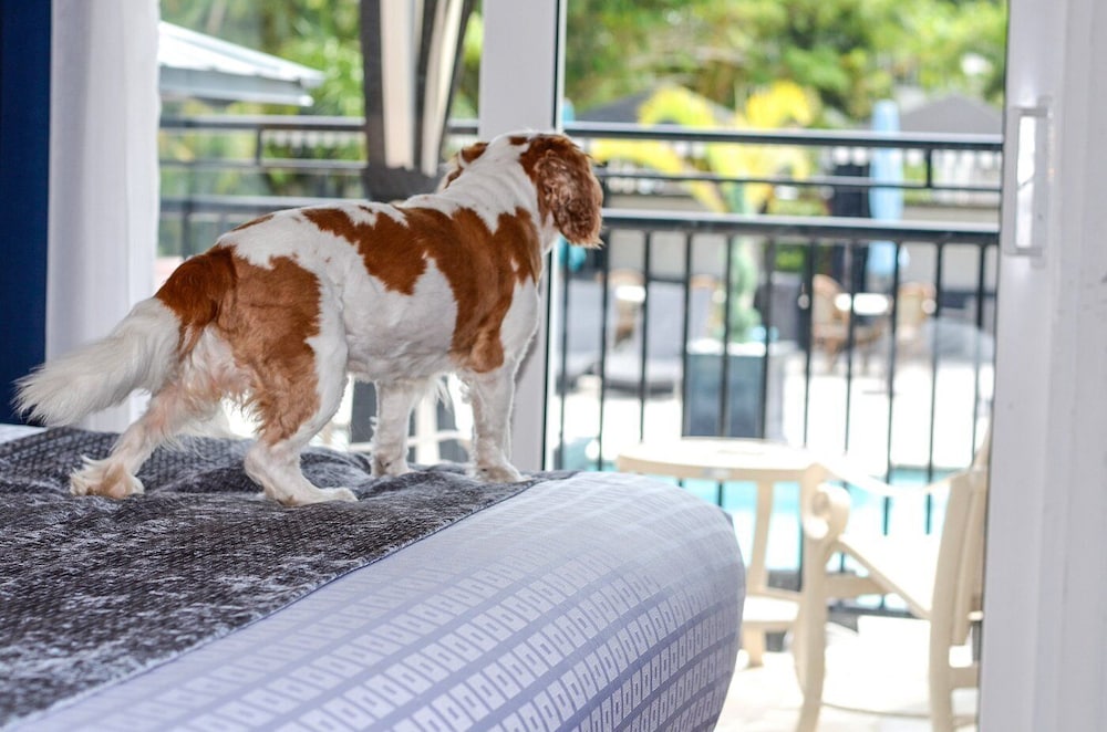 Hollander Boutique Hotel - photo 44