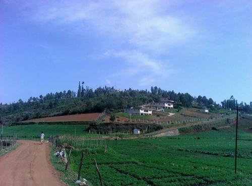 Mountain Top Holiday Home — 5-Star Luxury Hotel in Ooty, India