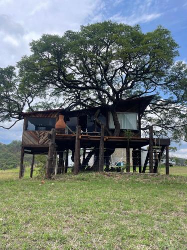 Hangar 5 La Casita del Arbol pet-friendly hotel San Lucas Del Pulque