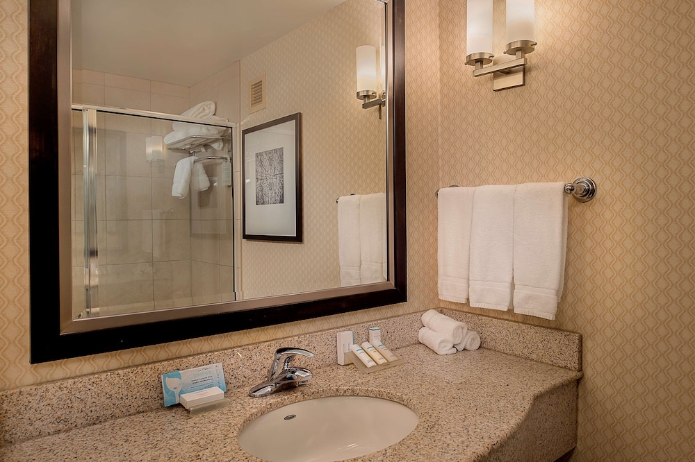 Hilton Garden Inn St. Louis Airport - photo 34