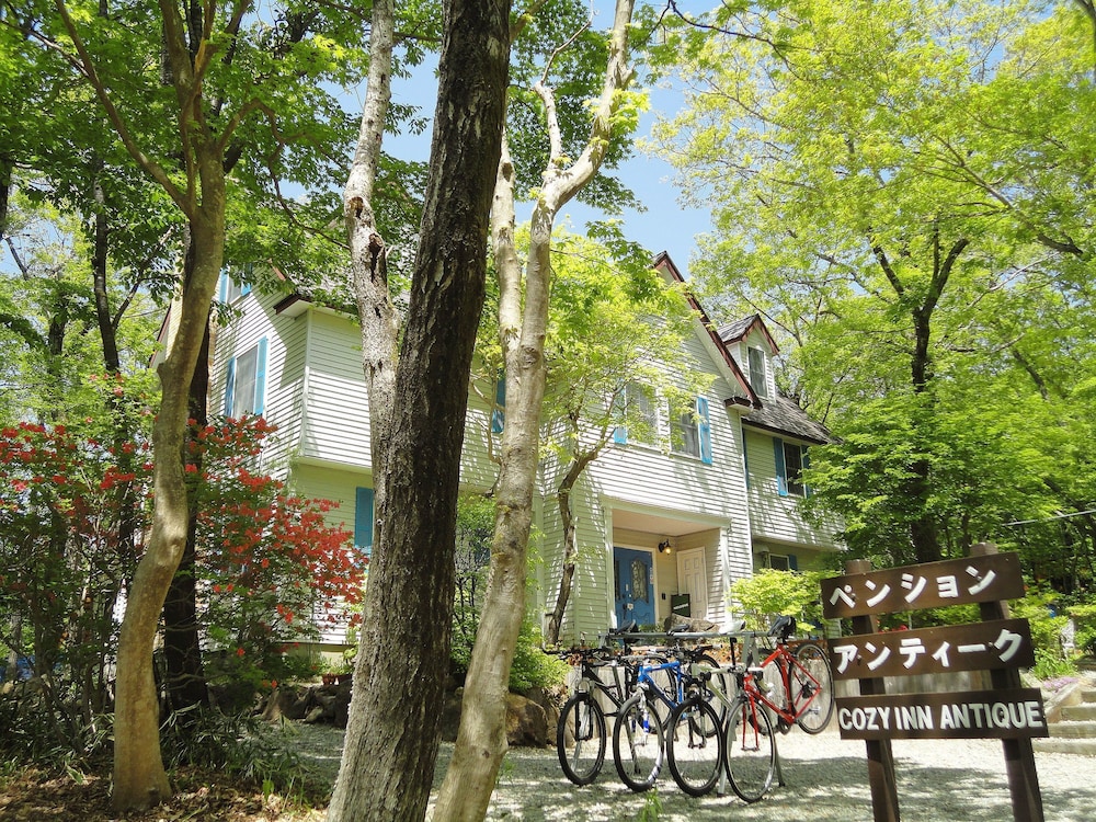 Cozy Inn Antique — hotel in Tochigi
