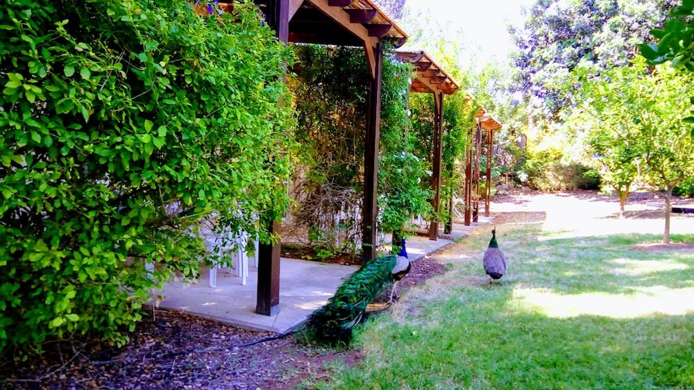 Kibbutz Tiratzvi Country Lodging in Bet She'an, Israel