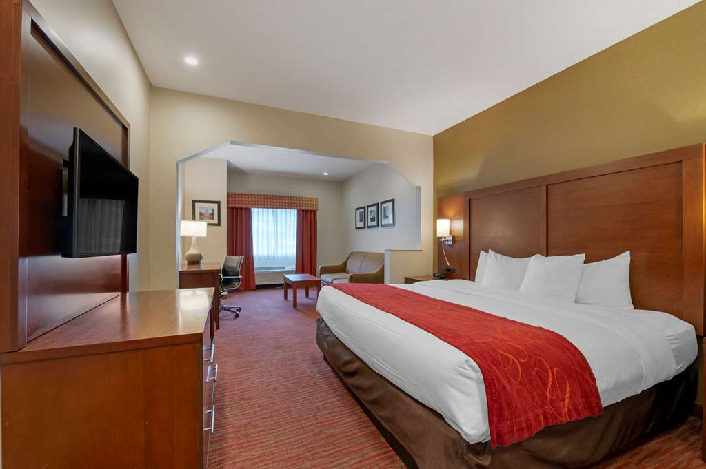 Comfort Suites Columbus Expo Center - photo 8