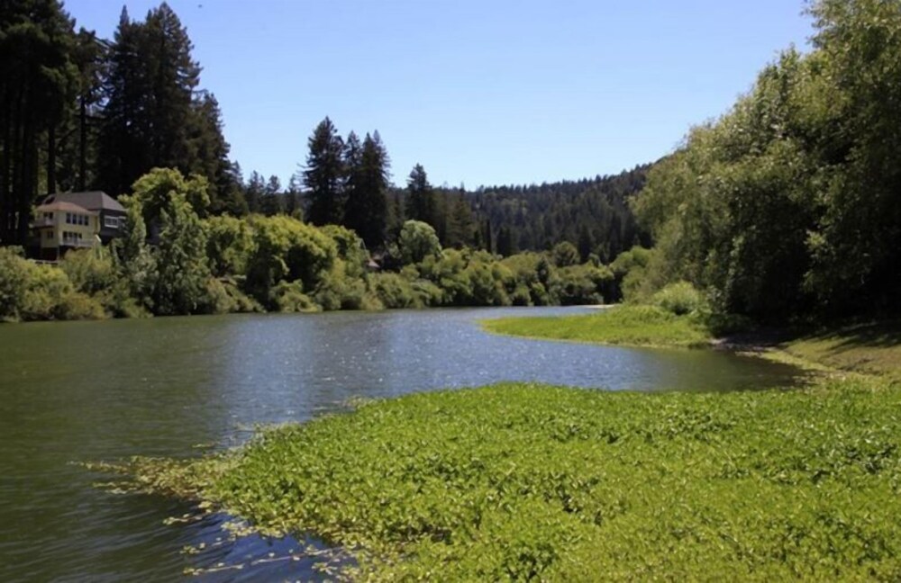 Inn on the Russian River - photo 25