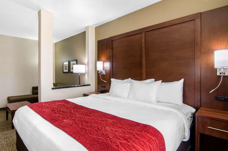 Comfort Inn & Suites Shawnee Kansas City - photo 21