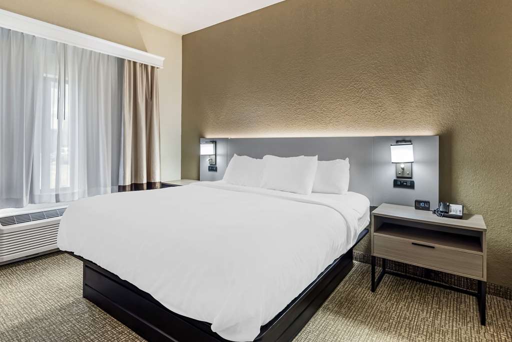 Comfort Suites Merrillville near US 30 - photo 24