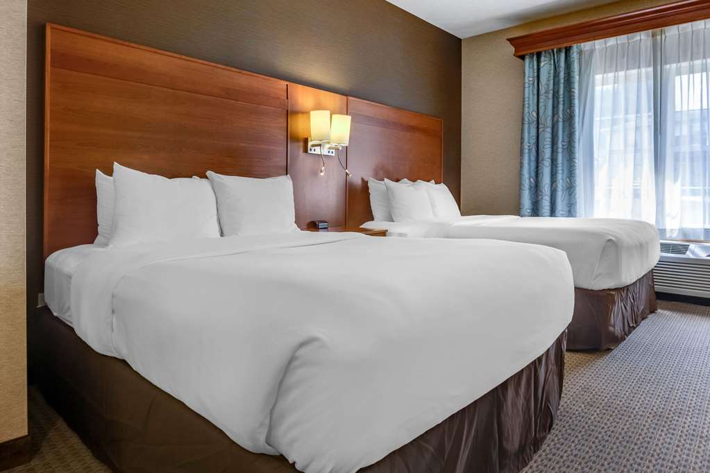 Comfort Suites Hotel and Conference Center - photo 14
