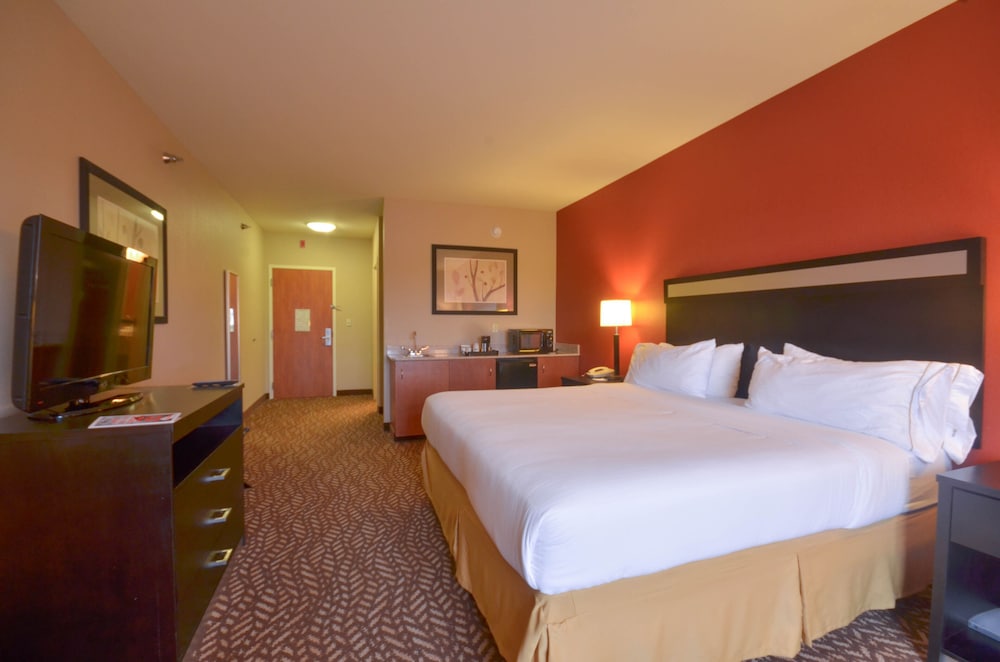 Holiday Inn Express Hotel & Suites Pine Bluff Pines Mall by IHG - photo 8