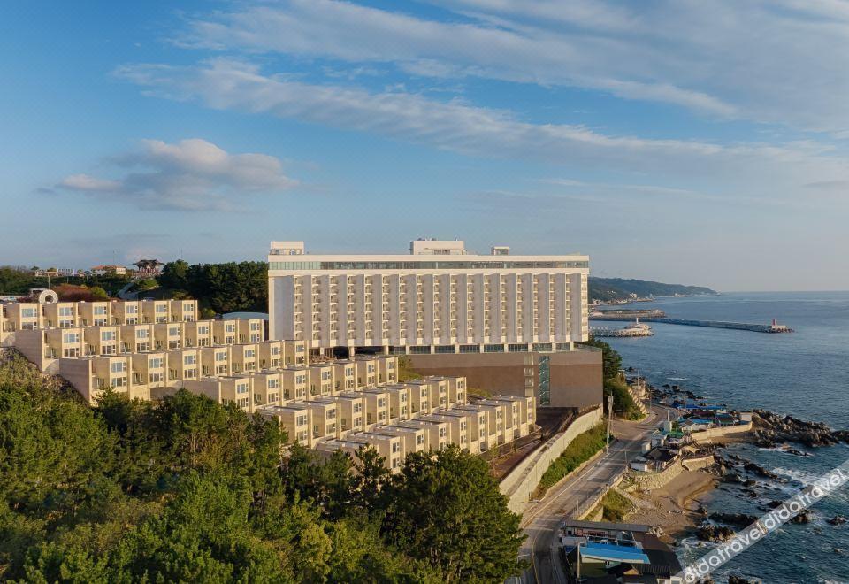 Panaq Operated By Sono in Pohang, South Korea