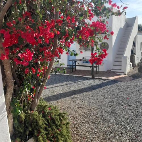 Monte da Lagoa - carbon neutral hotel in Castro Marim