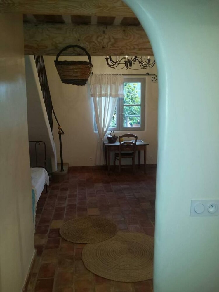 Les anes de petit jean — Pierrefeu-Du-Var — photo 5