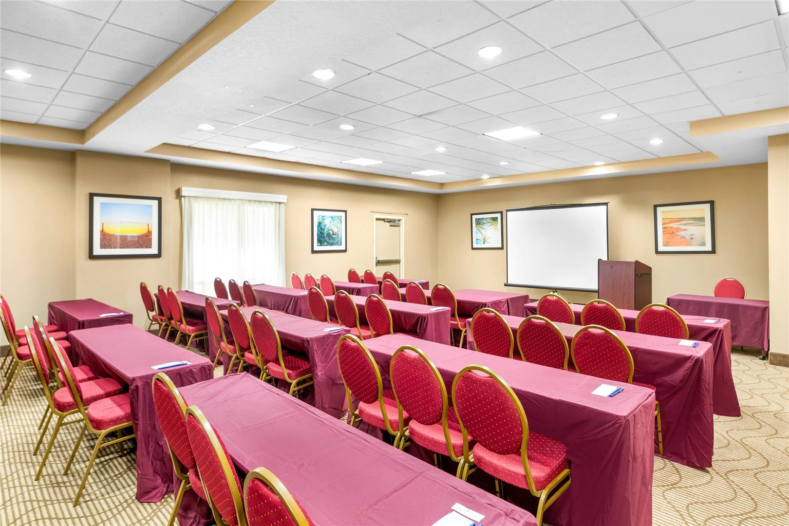 Comfort Suites Orlando Airport - photo 26