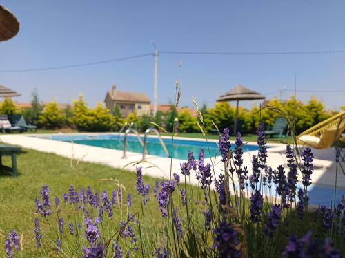 Casa D'Augusta Agroturismo — 4-Star Luxury Hotel in Miranda Do Douro, Portugal