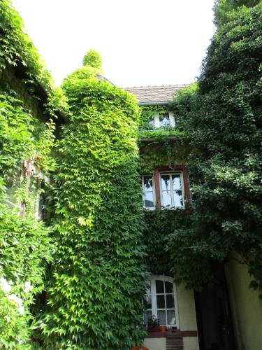 Hotel Burg Stuben - last minute hotel in Mainz