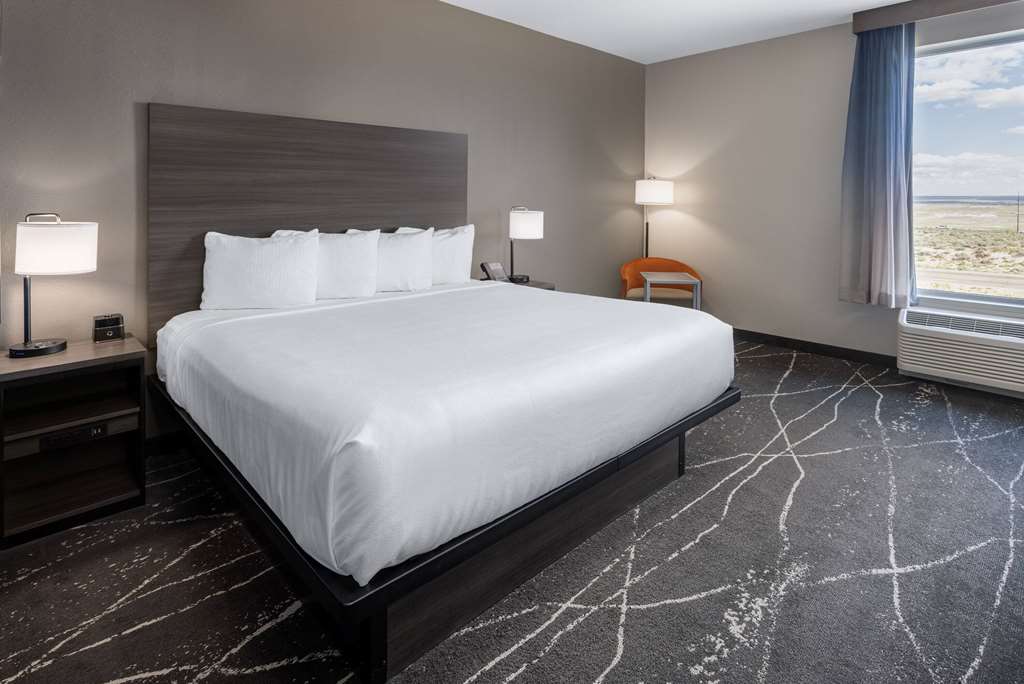 La Quinta Inn & Suites by Wyndham Holbrook Petrified Forest - photo 30