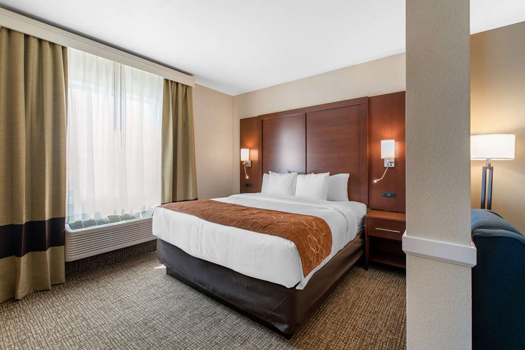 Comfort Suites Denver International Airport - photo 24