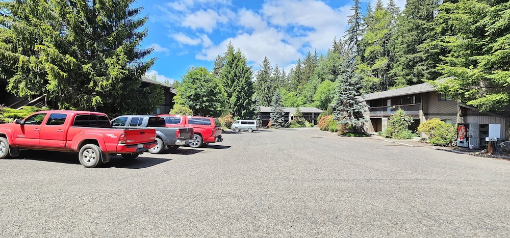 Olympic Suites Inn - photo 34
