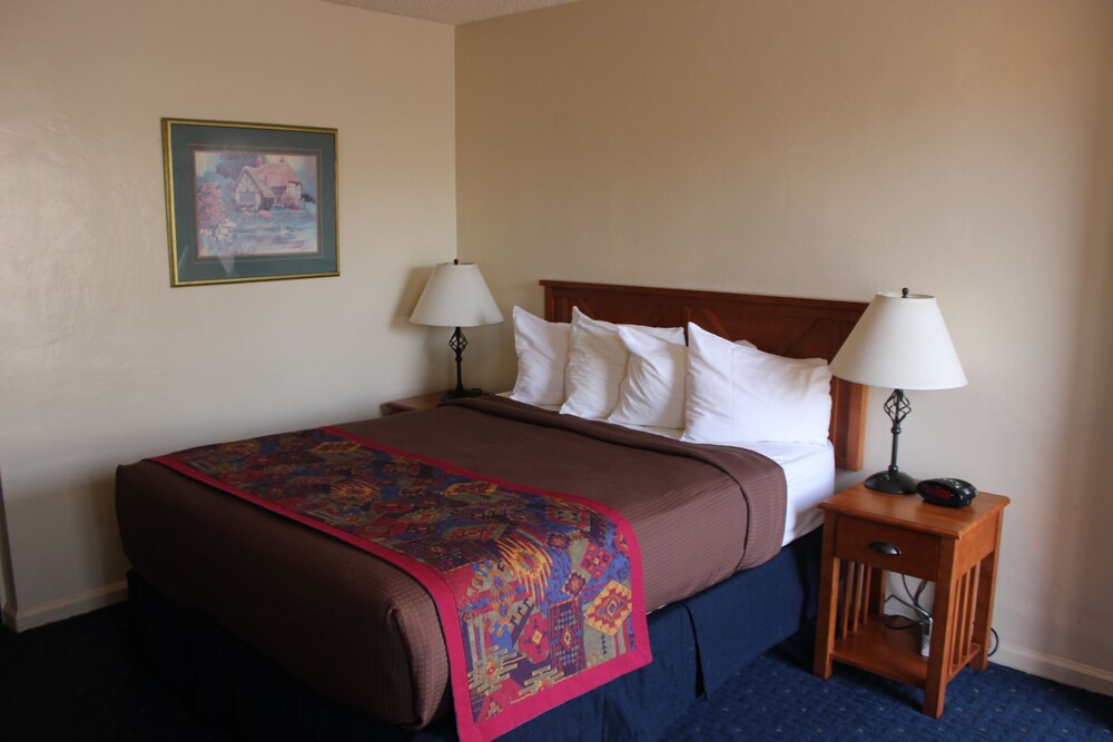 Dixie Palms Motel - photo 9
