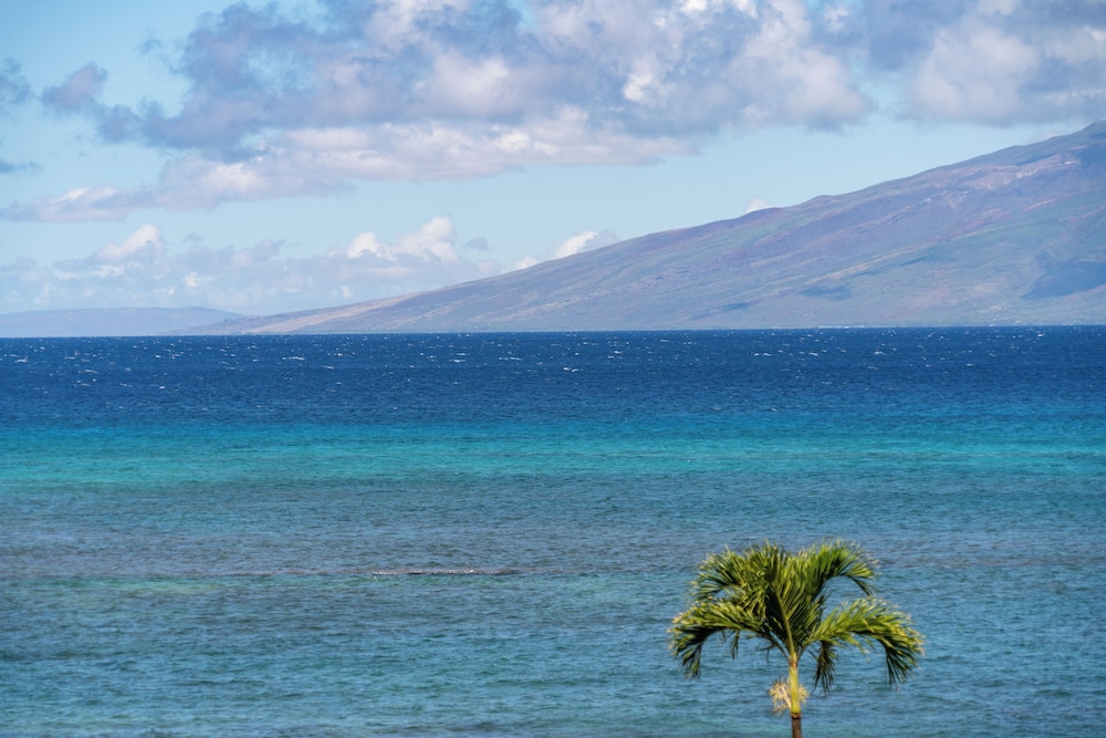 Royal Kahana Maui By Outrigger - photo 826