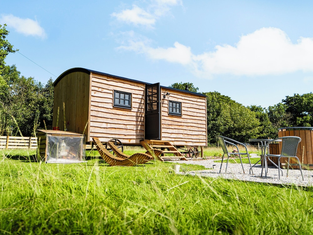Bracken in Bude, United Kingdom