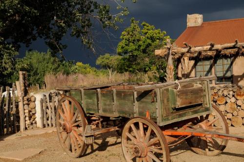Canyon Of The Ancients Guest Ranch - photo 40