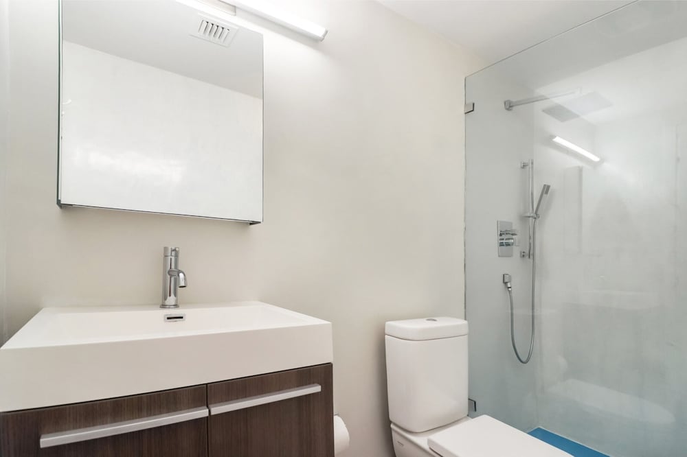 Roami at 250 Collins - photo 118