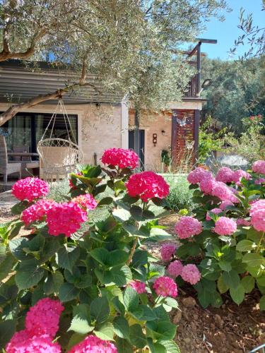 Villa Butterfly Valdanos — 4-Star Luxury Hotel in Ulcinj, Montenegro