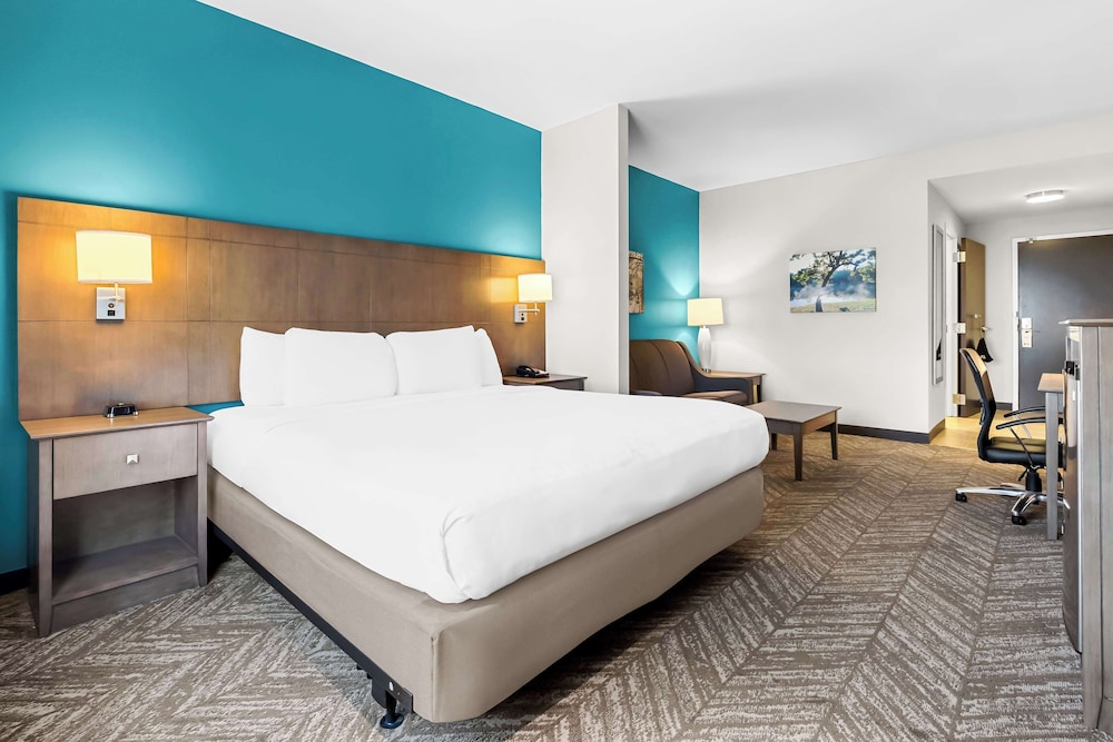 Best Western Plus Bolivar Hotel & Suites - photo 10
