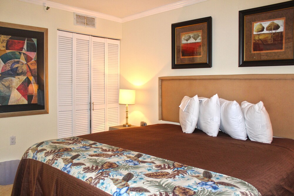 Meridian Plaza by Palmetto Vacations - photo 7