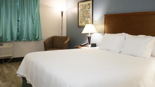 SureStay Plus Hotel by Best Western St. Louis Airport - photo 4