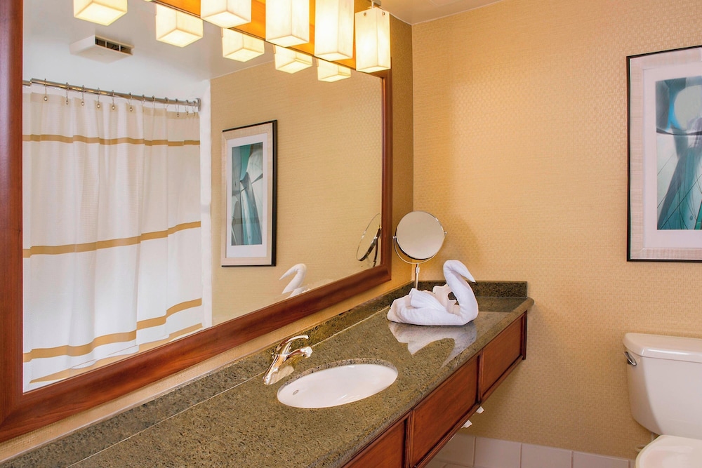 BWI Airport Marriott - photo 14