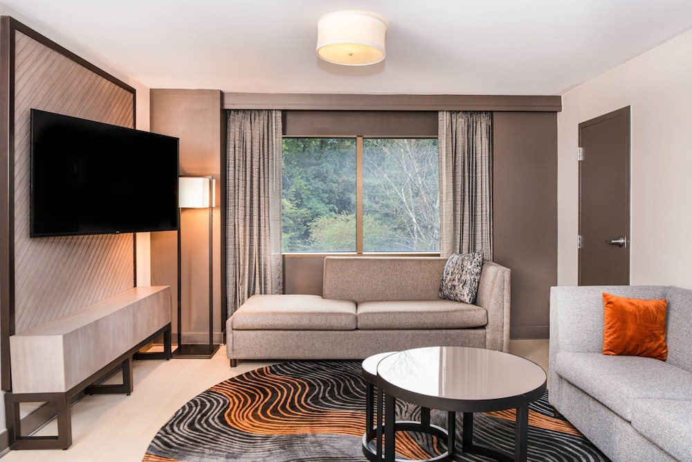 Pittsburgh Airport Marriott - photo 28