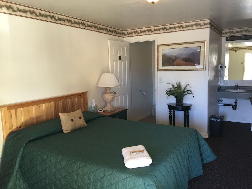 Rustic Inn Motel - photo 34