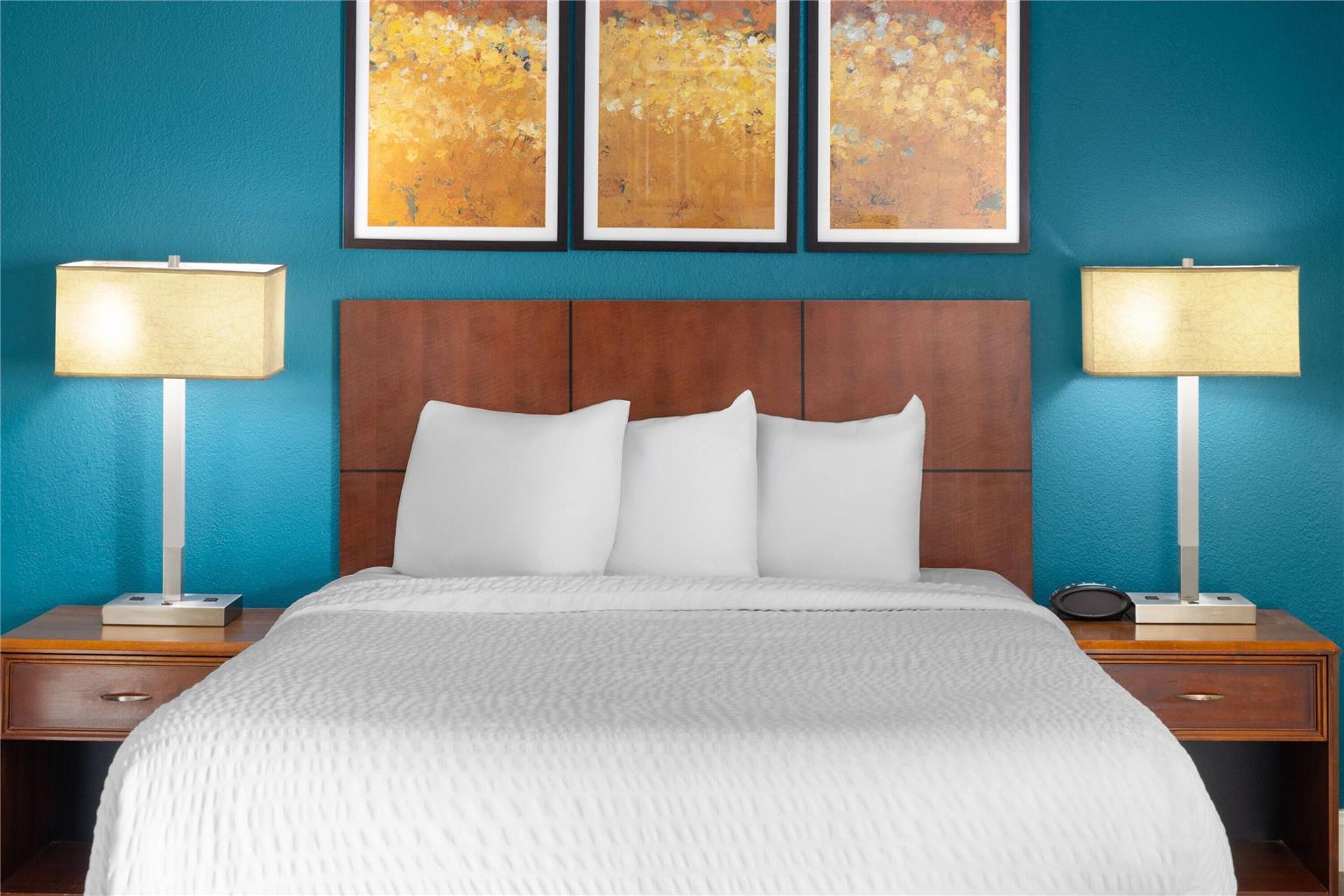 Hawthorn Suites by Wyndham Vienna Tysons Corner - photo 34