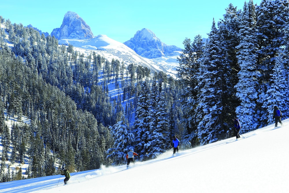 Teewinot Lodge by Grand Targhee Resort - photo 27
