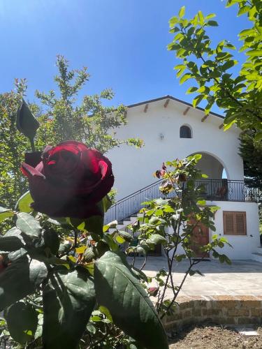Gart House Holiday Home — 4-Star Luxury Hotel in Alanno, Italy