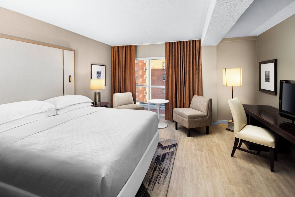 Sheraton Raleigh Hotel - photo 9