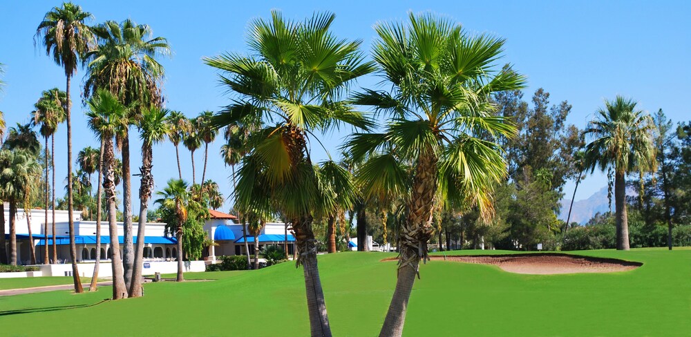 Arizona Golf Resort Phoenix Mesa - photo 36