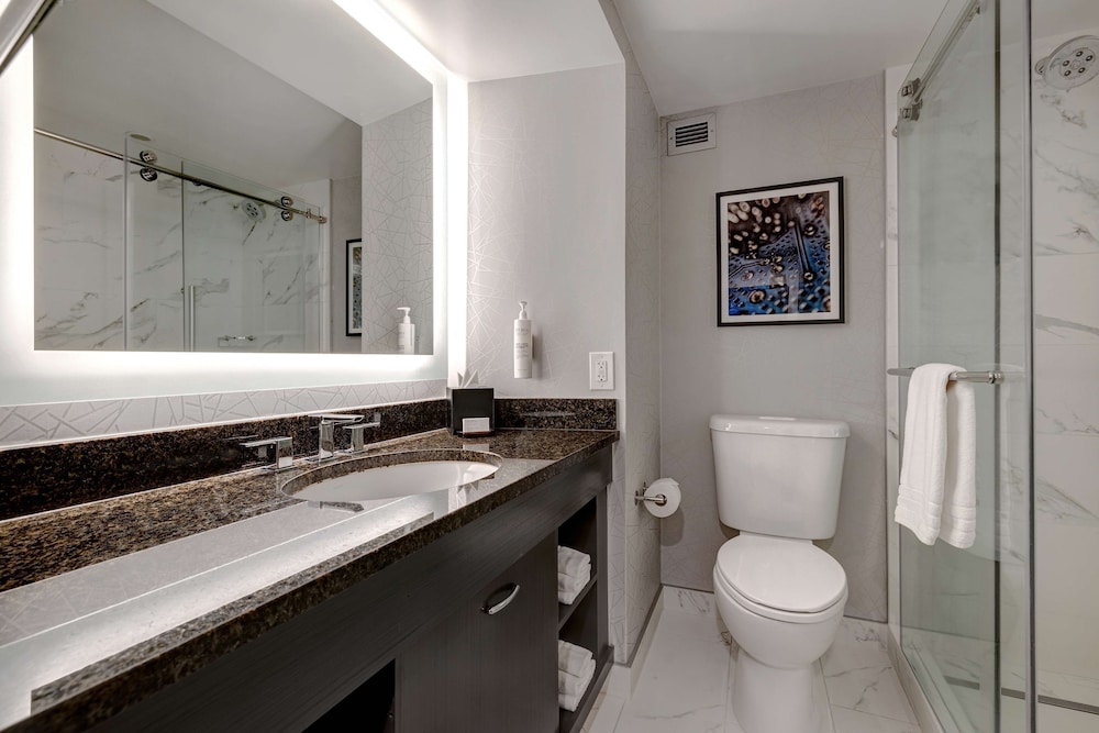 Embassy Suites by Hilton Santa Clara Silicon Valley - photo 40