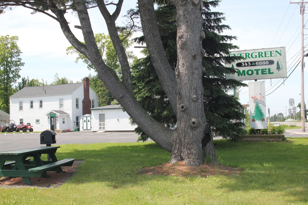 The Evergreen Motel - photo 81