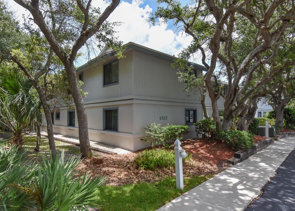 Sea Woods - photo 16